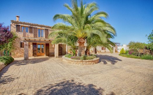 Bed and Breakfast for sale with olive grove