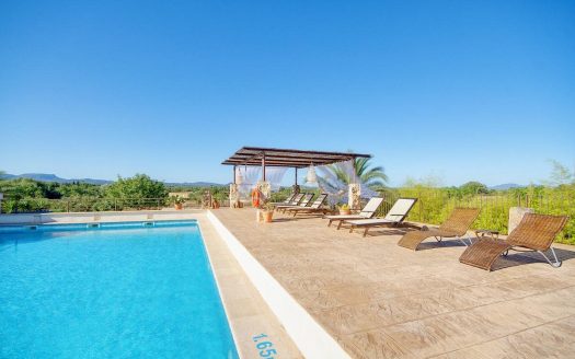 Bed and Breakfast for sale with olive grove