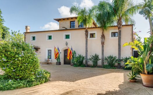 Reformed finca with guest house