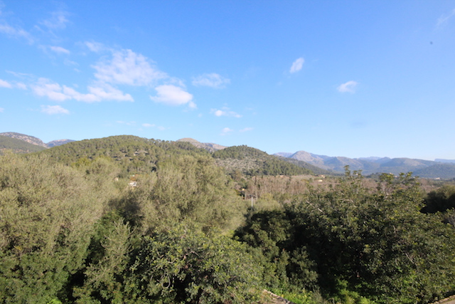 Old finca in Tramuntana on a large plot of land