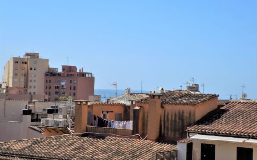Charming recently renovated apartment in Palma Old Town