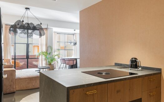Bright renovated apartment with underfloor heating near Plaza de España